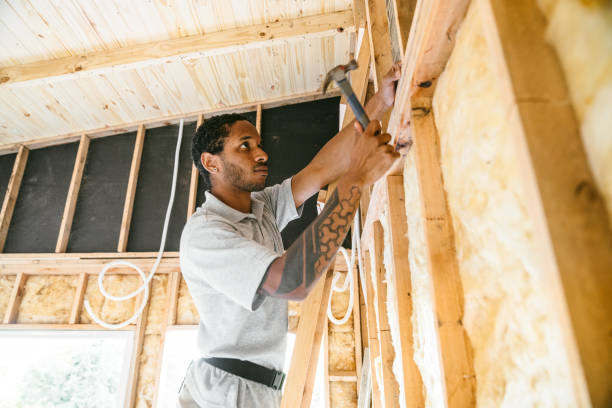 Best Attic Insulation Installation  in Emory, TX